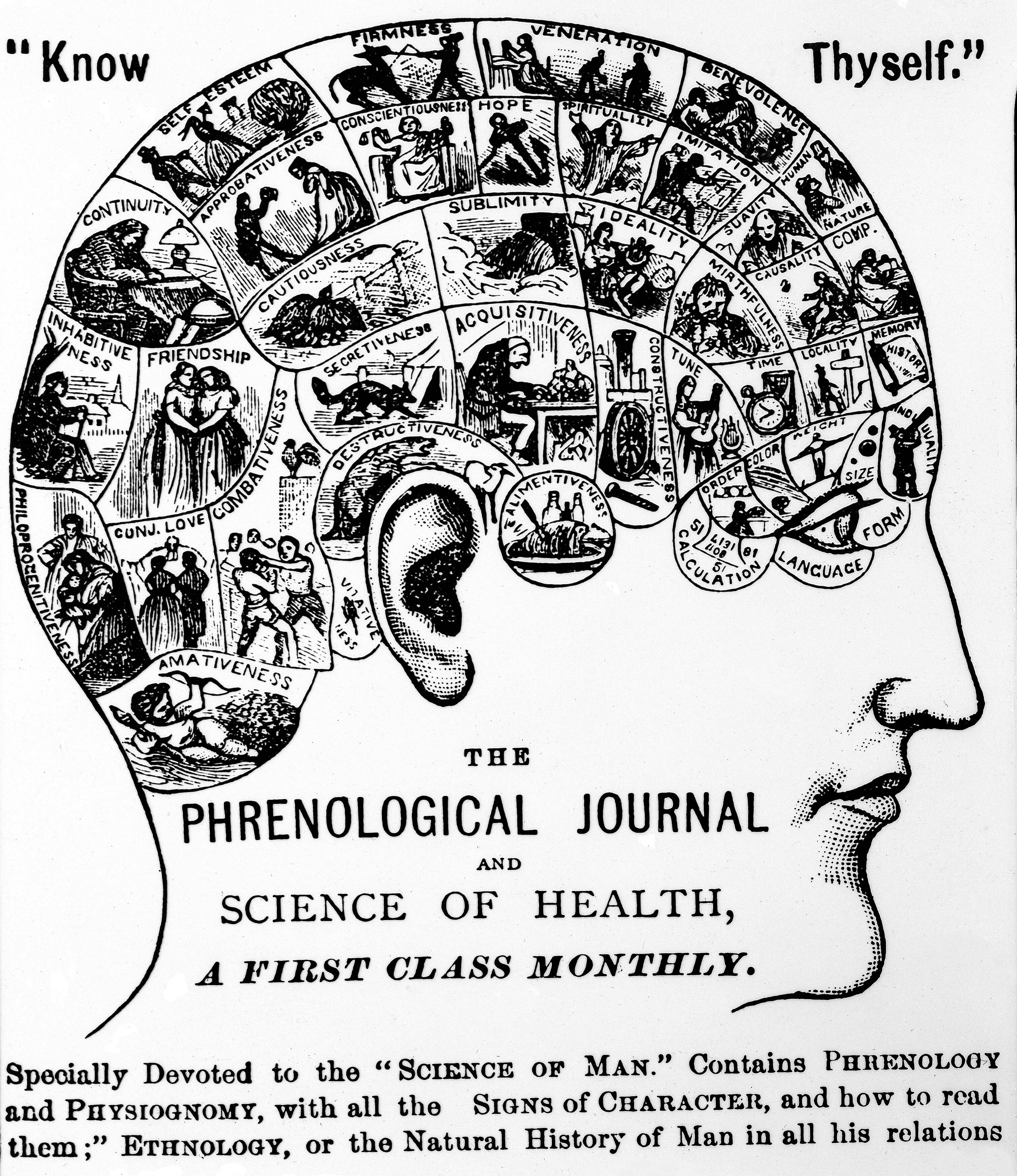 Chart from 'The Phrenological Journal' ("Know Thyself"), print from Dr. E. Clark.